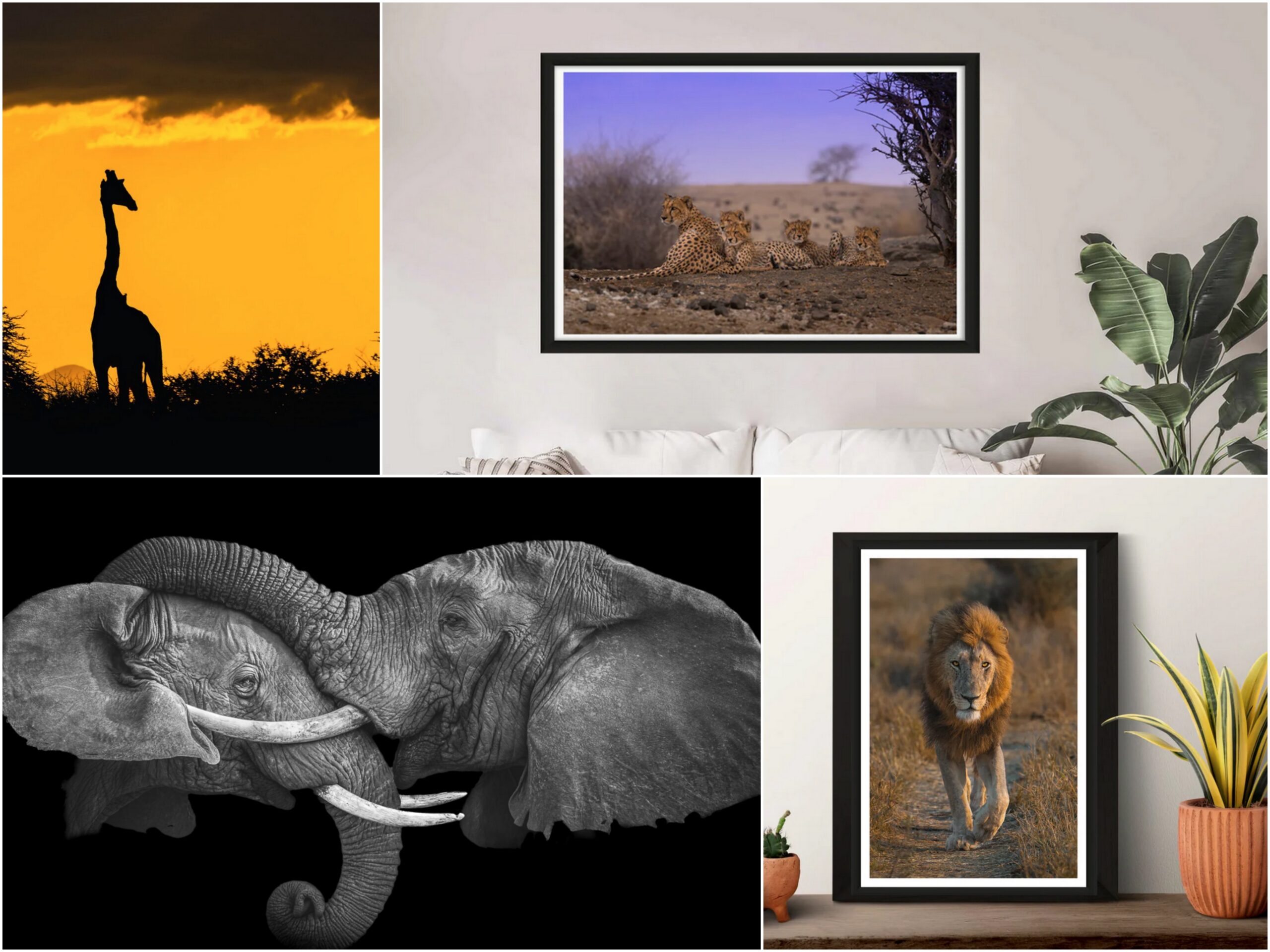 PrintStore2