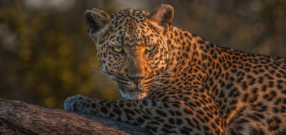 A7R09893-Bearbeitet-3-1